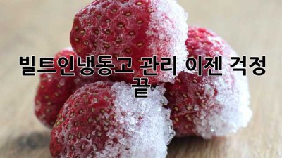 빌트인냉동고 관리, 이젠 걱정 끝!